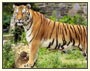 Golden Triangle Tour with Ajanta and Ellora